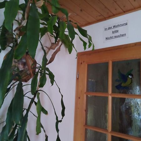 Ferienwohnung Steinbauer Opfenbach المظهر الخارجي الصورة
