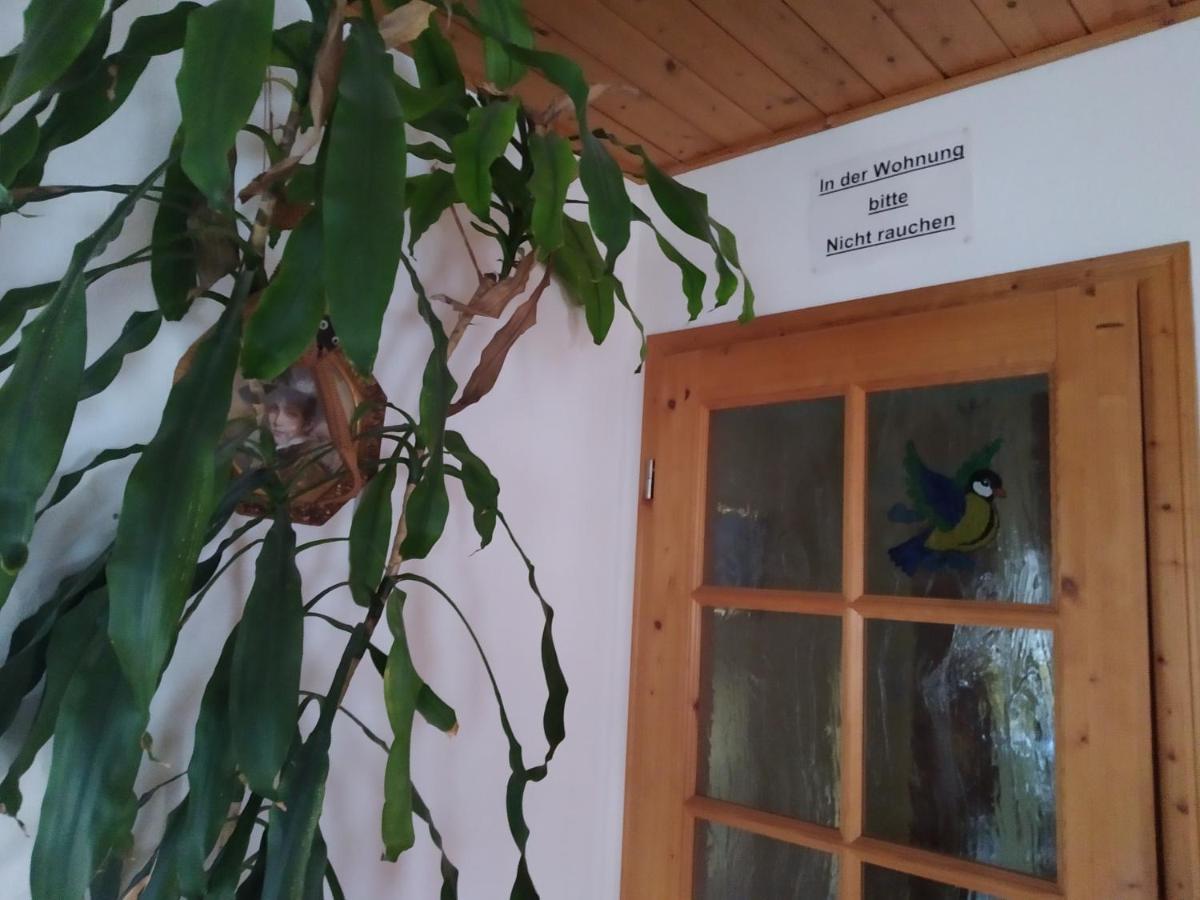Ferienwohnung Steinbauer Opfenbach المظهر الخارجي الصورة