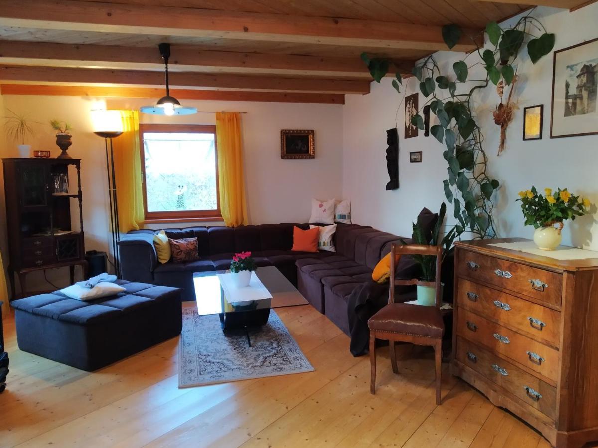 Ferienwohnung Steinbauer Opfenbach المظهر الخارجي الصورة